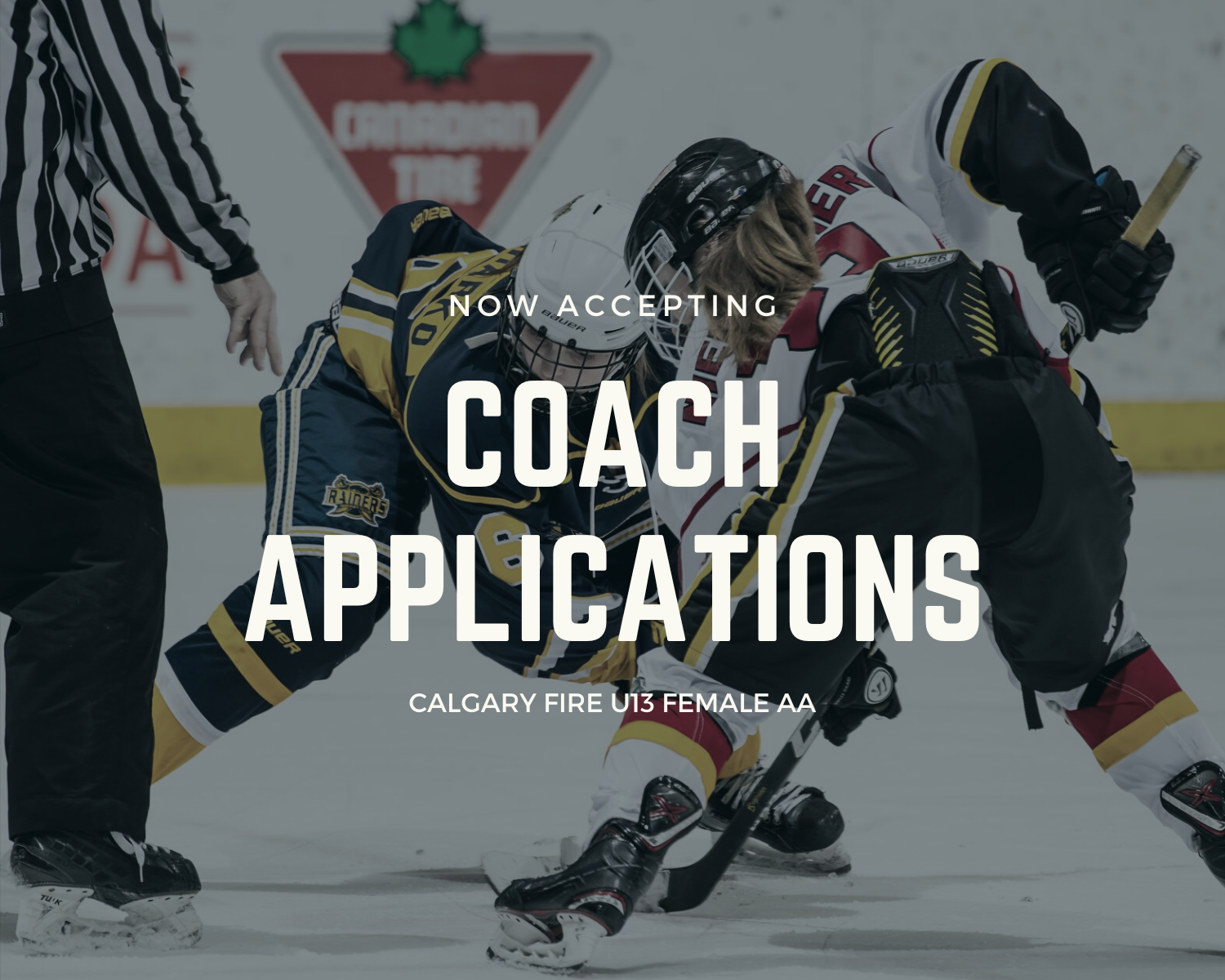 Female Hockey Coaching